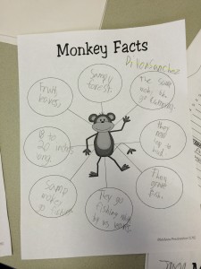 Monkey Research by Dillon S.