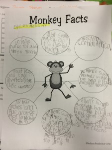 Monkey Research by Eileen M.