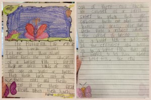 The Butterfly Life Cycle by Laney S.